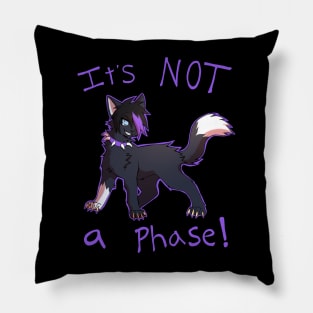 It’s not a phase! Pillow