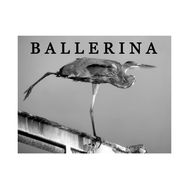 Ballerina by dltphoto