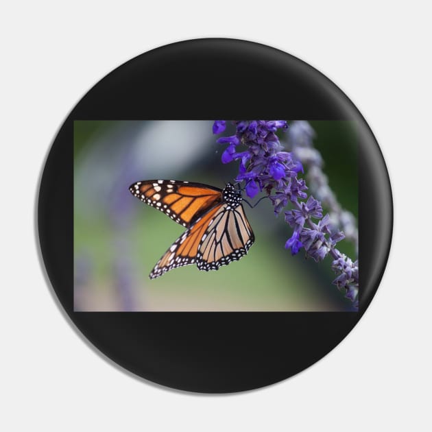 Monarch II Pin by Jacquelie