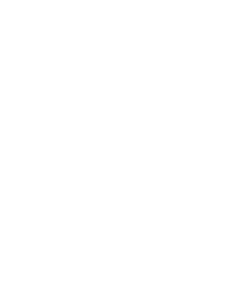 BIKER - BORN TO RIDE RIDE TO LIVE Magnet