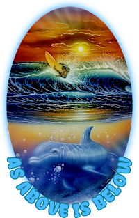 Surfing t-shirt designs dolphins Magnet