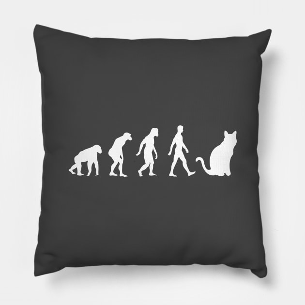 HUMAN CAT EVOLUTION Pillow by MoreThanThat