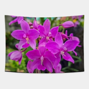 Purple Orchids (Spathoglottis plicata) Tapestry