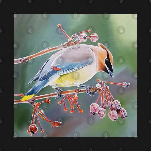 Cedar Waxwing with Crabapples - bird painting by EmilyBickell