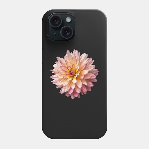 Lovely Single Chrysanthemum Phone Case by TTDean