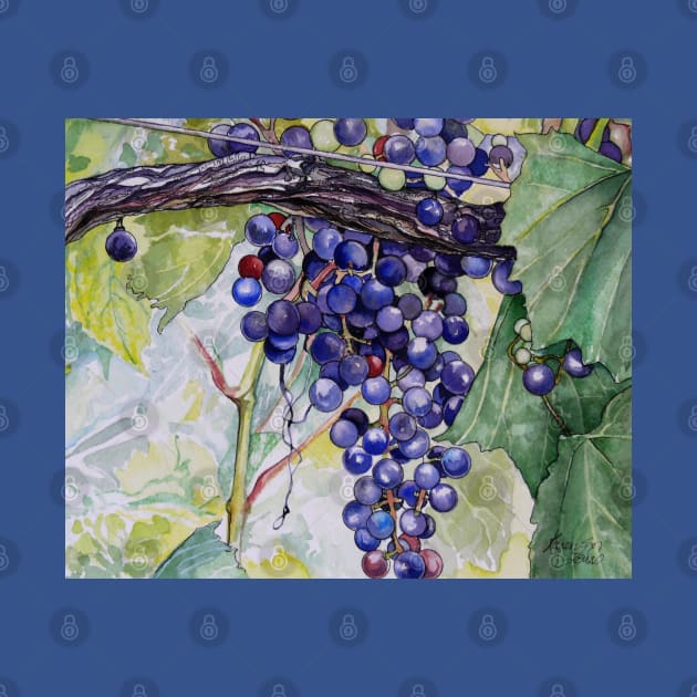 Grapes by Zodiart