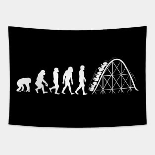 Evolution of Roller coaster Tapestry