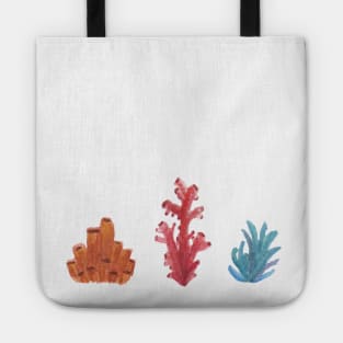 Coral Tote