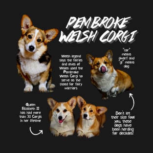 Pembroke Welsh Corgi Fun Facts T-Shirt