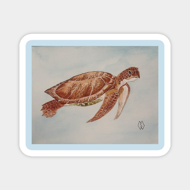 Sea Turtle Magnet by Matt Starr Fine Art