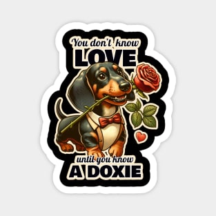 Dachshund Valentine's day Magnet