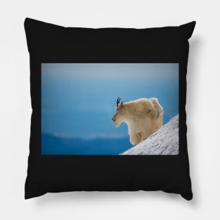 Contemplation Pillow