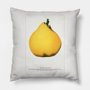 Meech's Prolific Pear  Lithograph (1900) Pillow