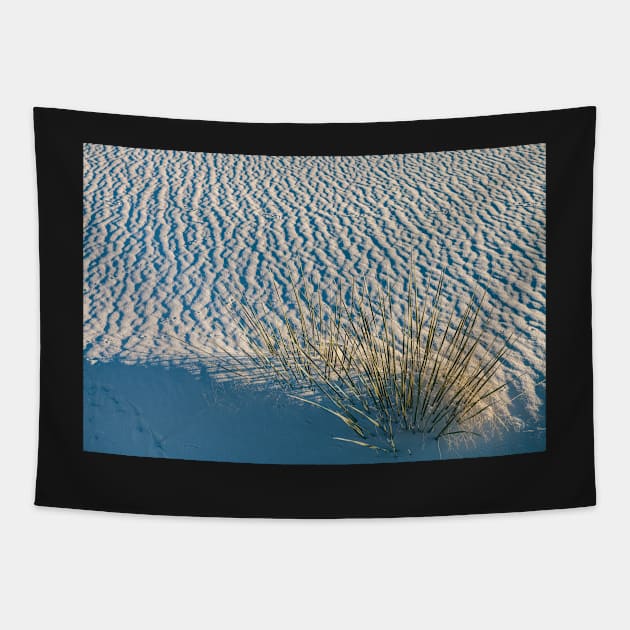 Yucca in White Sand Tapestry by jvnimages