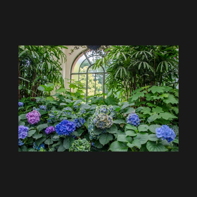 Conservatory Garden by kathiemt