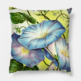 Morning Glories Pillow