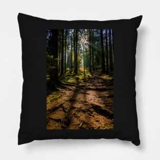 Black Forest near Baiersbronn, Germany Pillow