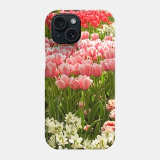 Beautiful Tulips, Keukenhof Tulip Festival, Holland Phone Case