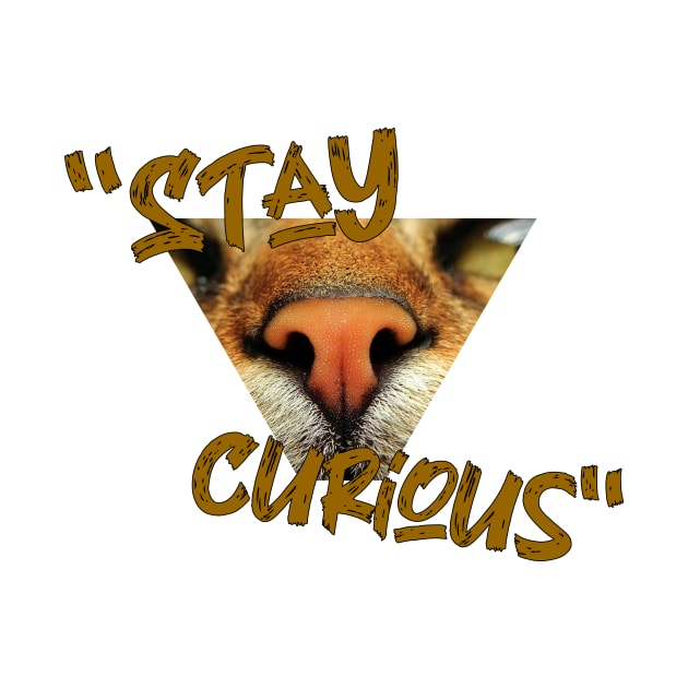 Stay curious by creakraft