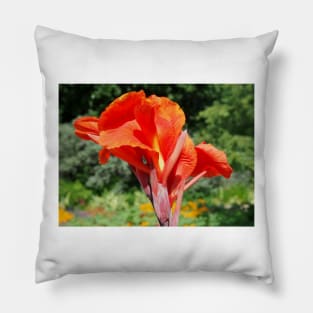 Red Canna Lilly Flower in Summer Garden Pillow