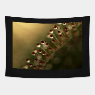 Evening Sundew Tapestry