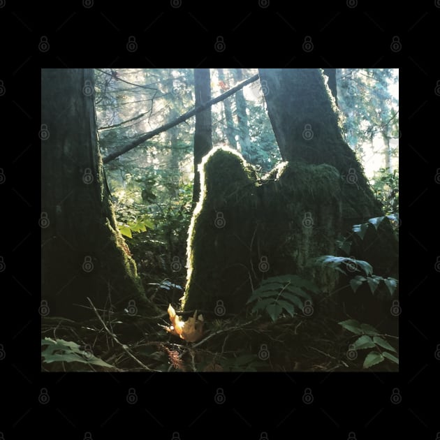 Green Man of Gabriola Spying on me… by drumweaver