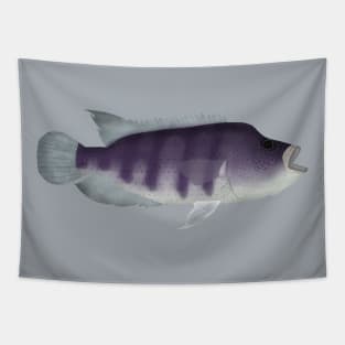 Wolf Cichlid Tapestry