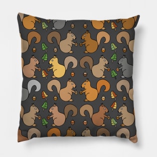 Cute and Colorful Squirrel Pattern Pillow