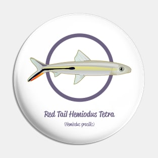 Red Tail Hemiodus Tetra Pin