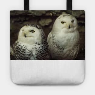 Snowy owls Tote