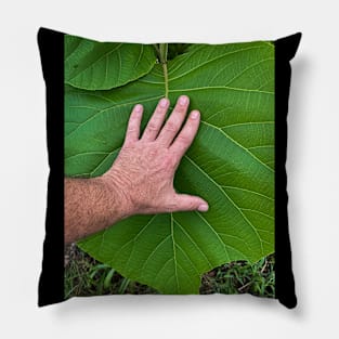 i love nature Pillow