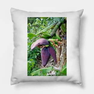 Iao Valley State Monument Study 7 Pillow