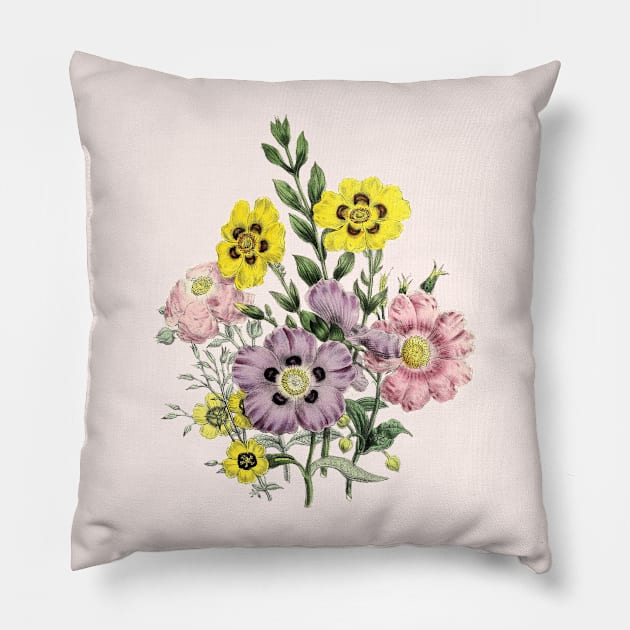 Blooming Flowers Graden Vintage Botanical Illustration Pillow by Biophilia