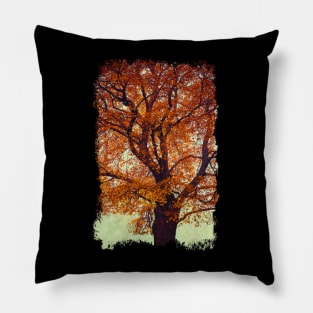 Beech Tree In Fall Colors Pillow