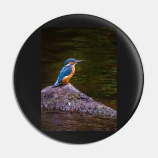 Kingfisher Pin