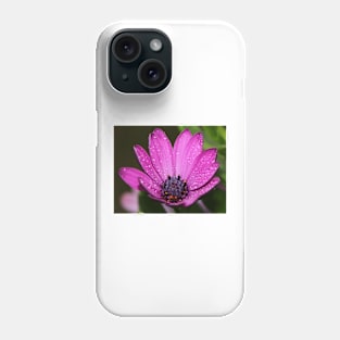 Purple Daisy. Phone Case