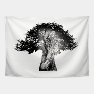 Baobab in Silhouette with Elephant Face Overlay Tapestry