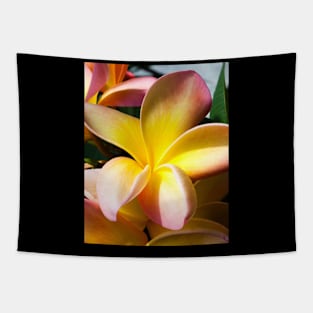 plumeria-flowers-frangipani-floral-blossom-petal-bloom-shirtyshirto-28 Tapestry