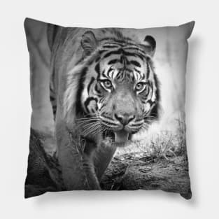 On The Move Pillow