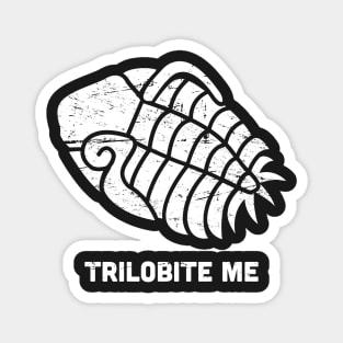 Trilobite Fossil Magnet