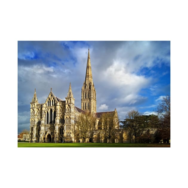 Salisbury Cathedral by galpinimages