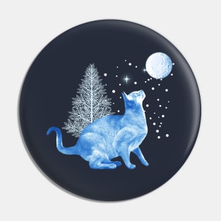 Cat in Winter Solstice Pin