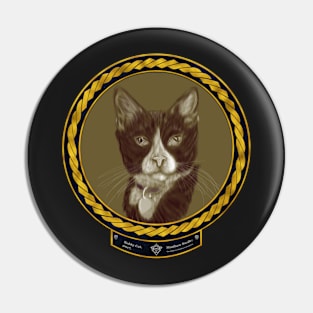 Bobby Cat (frame gold celtic rope space) Pin