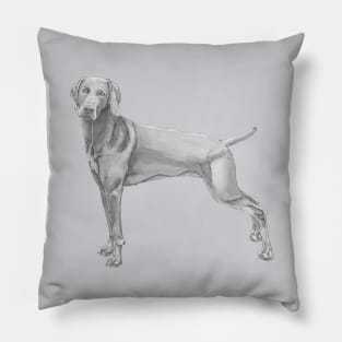 Weimaraner Pillow