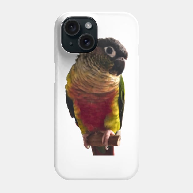 Green Cheek Conure Parrot Bird design, Love for birds Phone Case by TatianaLG