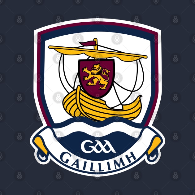 Galway County Crest by Hotshots