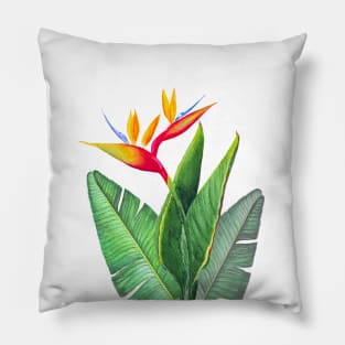 Tropical strelitzia Bird of Paradise flower  watercolor illustration Pillow