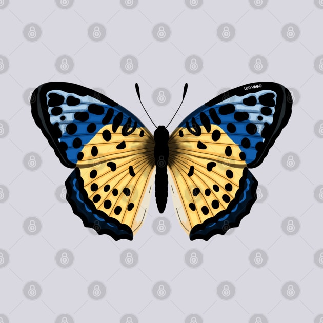 Yellow and Blue Butterfly by ludvago