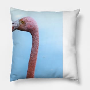 Flamingo Pillow