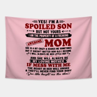 yes! I'm a spoiled son but not yours I am the property of a freaking awesome mom Tapestry